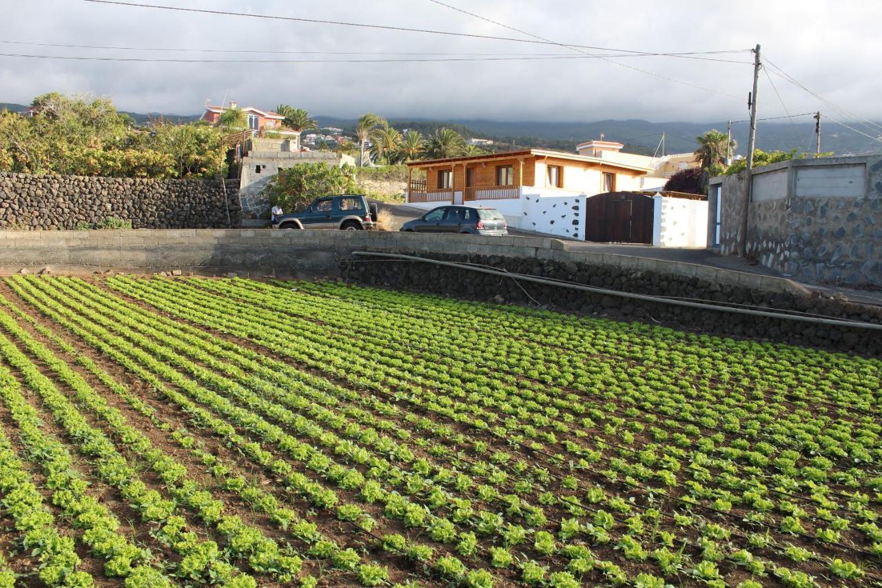 הוילה איקוד דה לוס וינוס Chalet Las Vinas מראה חיצוני תמונה