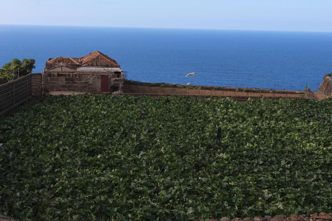 הוילה איקוד דה לוס וינוס Chalet Las Vinas מראה חיצוני תמונה